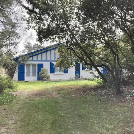 Au Cap-ferret Ref 94 *