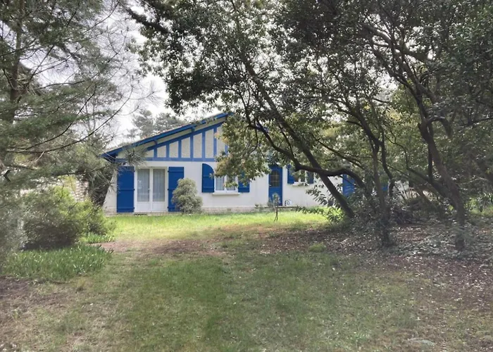 Au Cap-ferret Ref 94 *